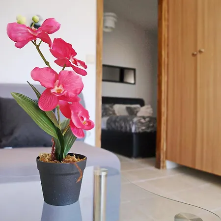 Amazing View With Swimingpool House Panorama *